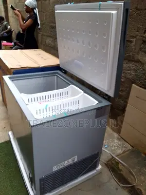 Skyrun BD-260A Business Deep Freezer