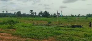 Land for Sale With Genuine and Verified Documents