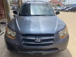 Hyundai Santa Fe 2010 Blue