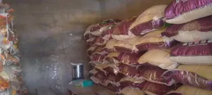 Bag of Rice