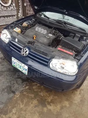 Volkswagen Golf 2003 Blue