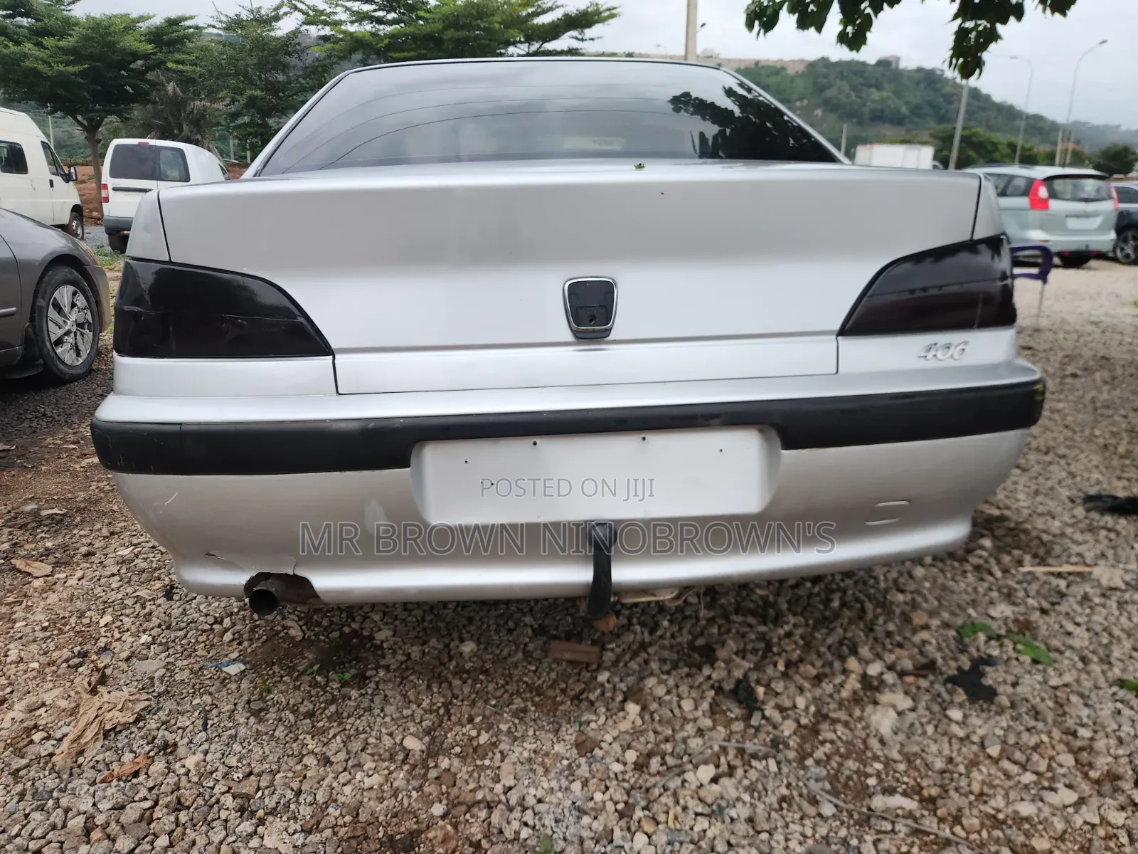Peugeot 407 2005 Silver
