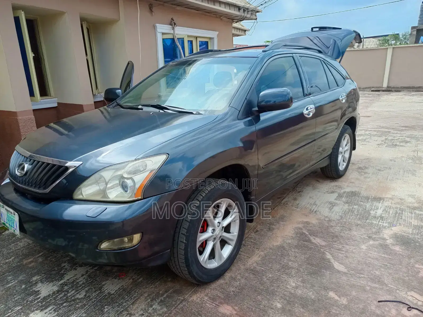 Lexus RX 2009 Gray