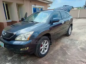 Lexus RX 2009 Gray