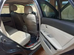 Lexus RX 2009 Gray