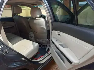 Lexus RX 2009 Gray