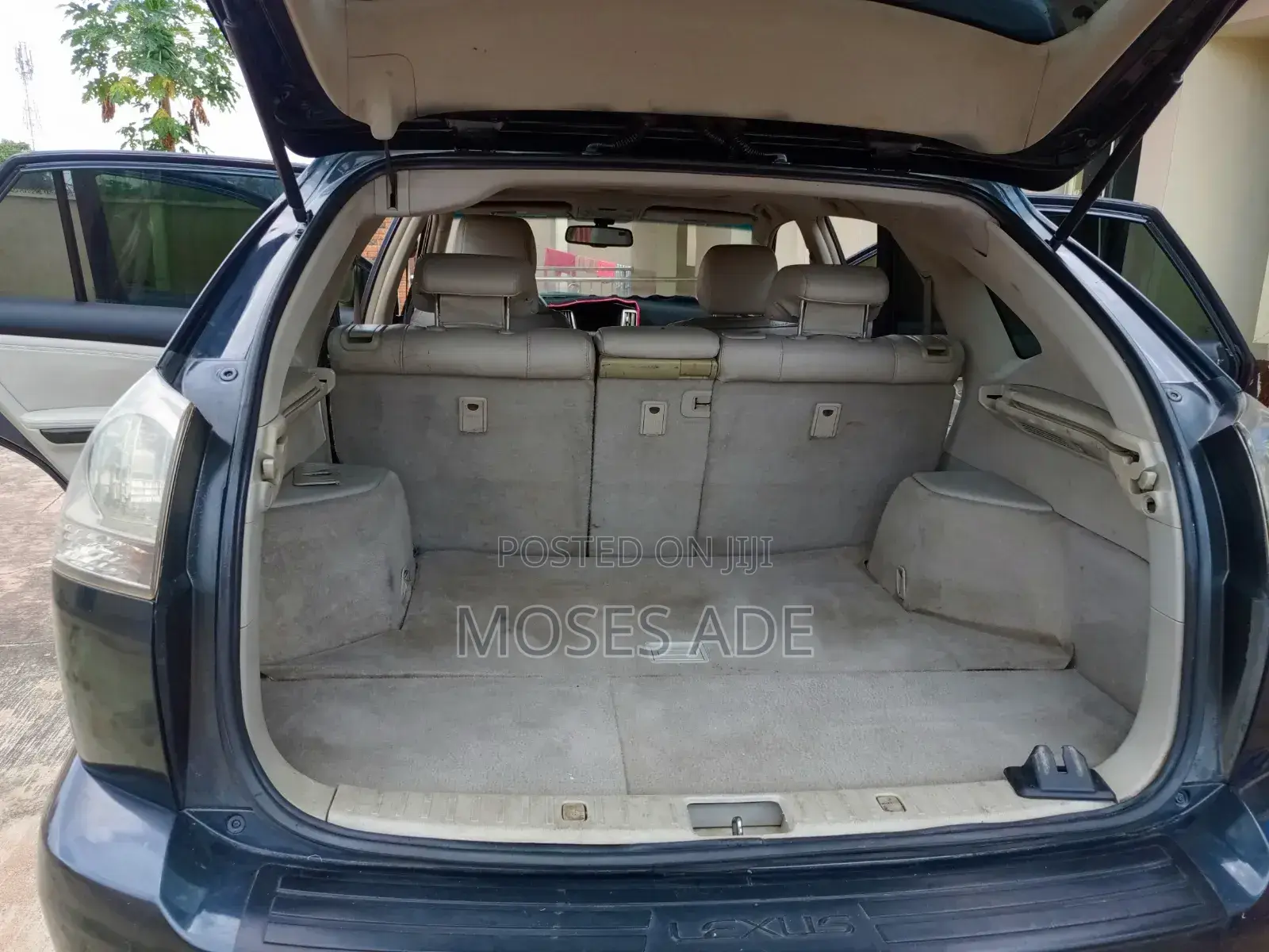 Lexus RX 2009 Gray