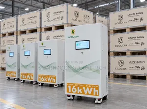 16kwh Ecolion Lithium Battery