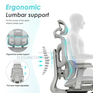 Ergonomic Mesh Executive Chair With Leg Rest