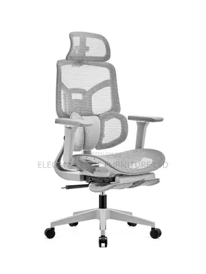 Ergonomic Mesh Executive Chair With Leg Rest
