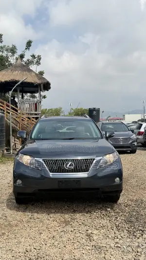 Lexus RX 350 2010 Gray