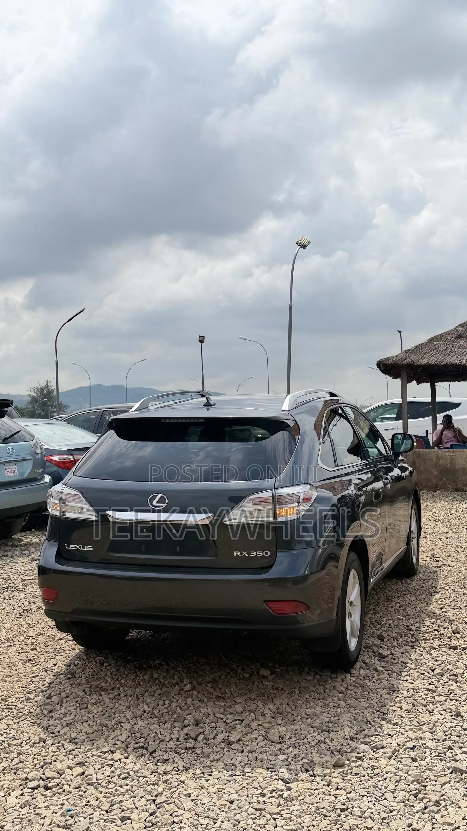 Lexus RX 350 2010 Gray