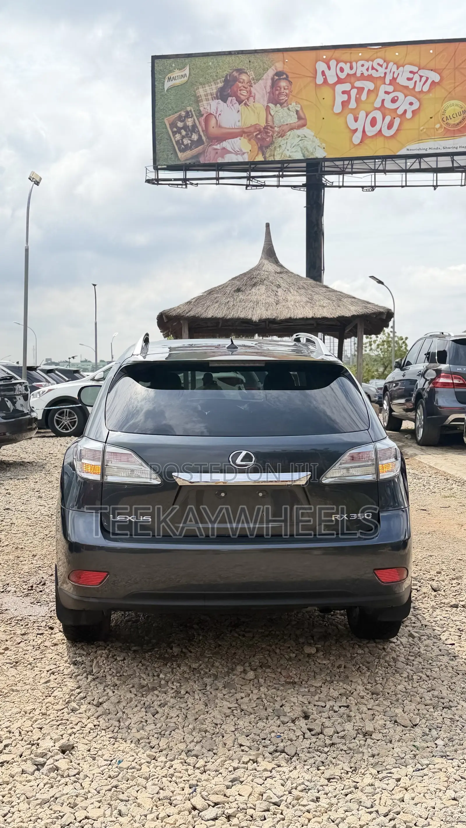 Lexus RX 350 2010 Gray
