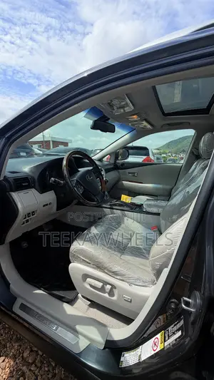 Lexus RX 350 2010 Gray