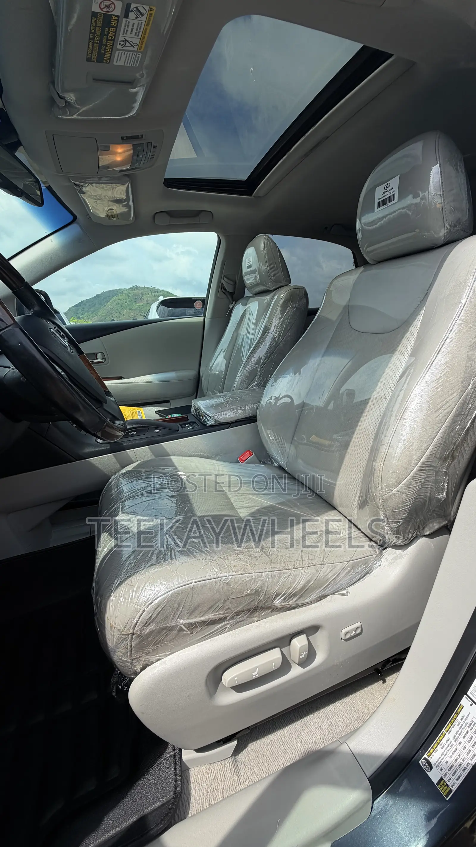 Lexus RX 350 2010 Gray