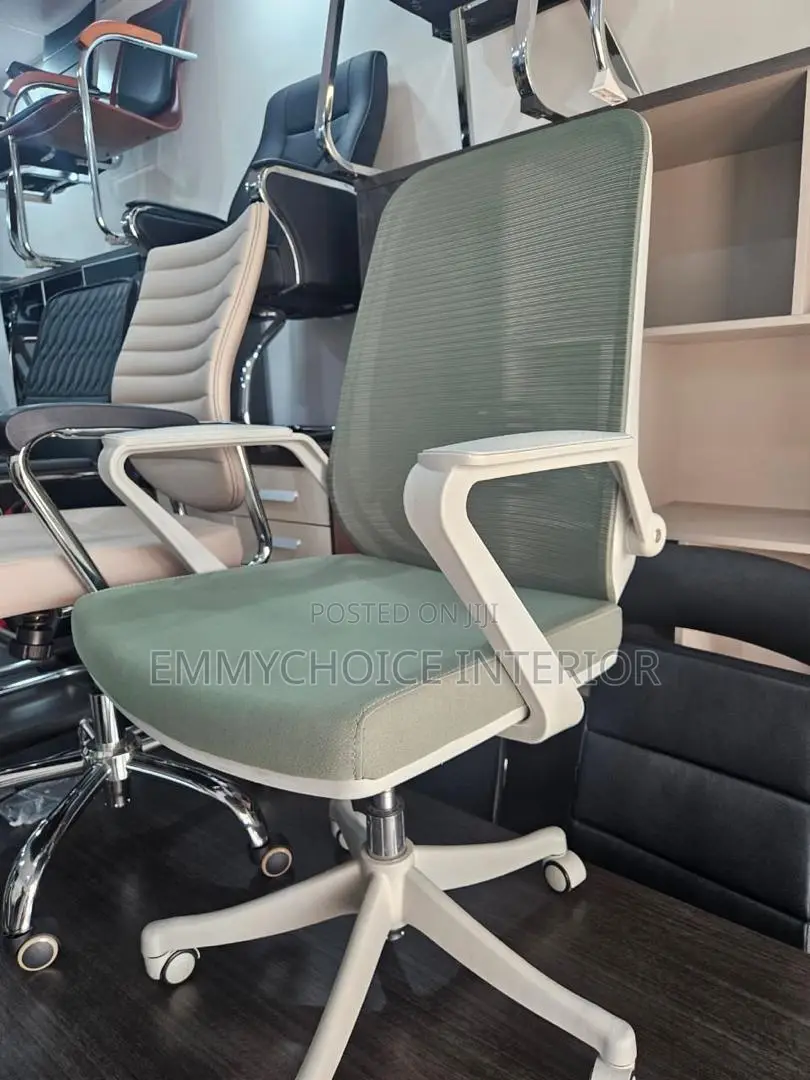 Ergonomic Mesh Office Chair