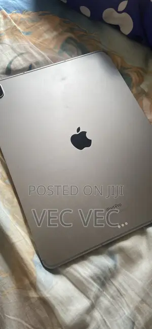Apple iPad Pro (2022) 256 GB Gray