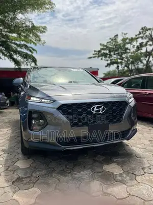 Hyundai Santa Fe 2019 Gray