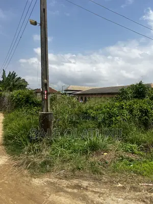 Own Land in Igbogbo Today, Developed Area, Clear Papers, Fast Process