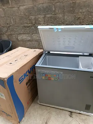 Say Goodbye to Overcrowded Freezers – SKYRUN BD 200A Is Here