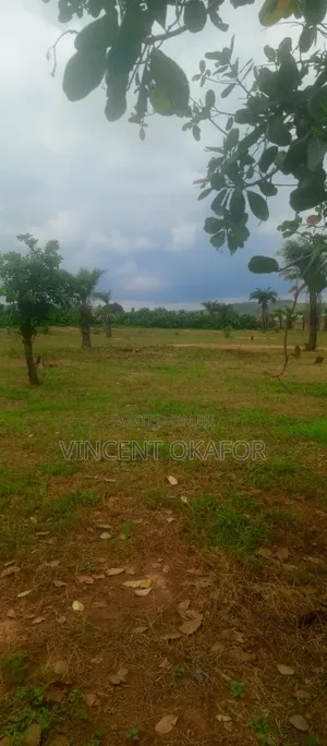 200sqm Is for 3 Bedroom Terrace Duplex