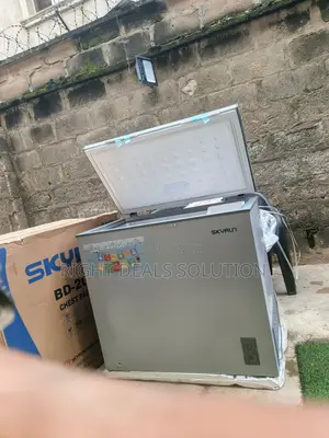 A Better Way to Preserve Your Frozen Essentials – SKYRUN BD 200A