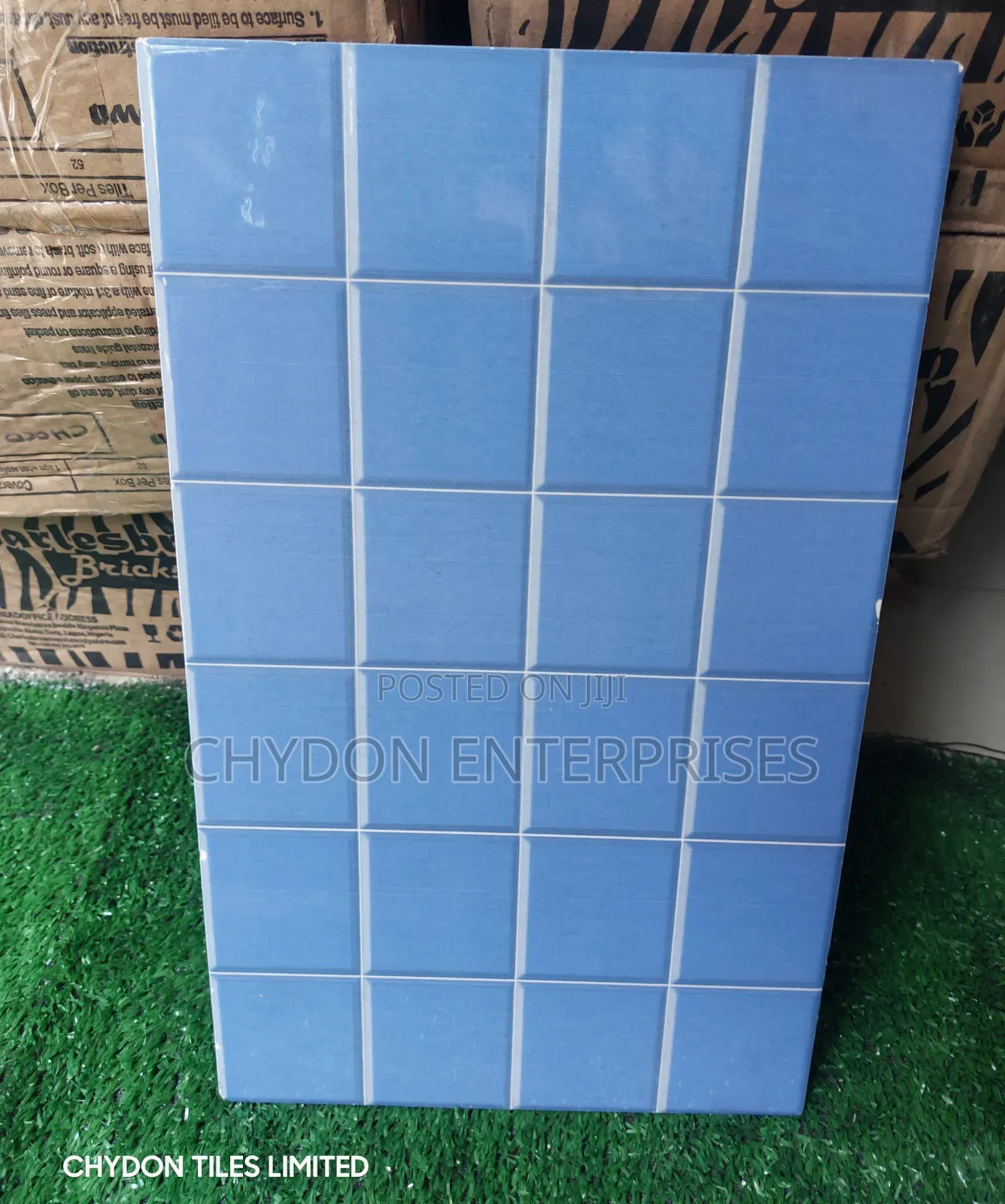 Swimming Pool Tiles