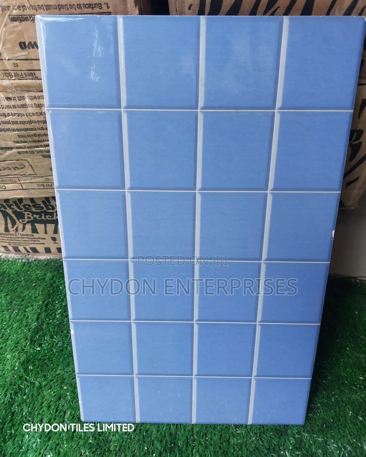 Swimming Pool Tiles