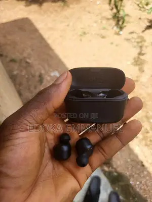 Ear Buds( Anker A25i)
