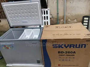 Skyrun BD-260A 260L Freezer – Large Capacity Cold Storage