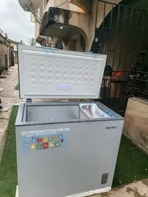 Make Food Storage Easier With the Brand New SKYRUN 200A Deep Freezer