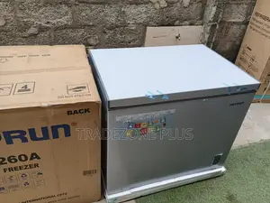 Skyrun 260L Chest Freezer – Powerful BD-260A Freezing System