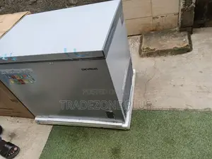 Skyrun BD-260A 260L Freezer – Spacious Design for Maximum Storage