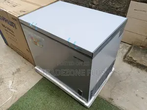 Skyrun BD-260A 260L Freezer – Spacious Design for Maximum Storage
