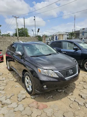 Lexus RX 350 2010 Gray