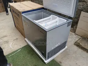 Skyrun BD-260A 260L Deep Freezer – Perfect for Long-Term Food Storage