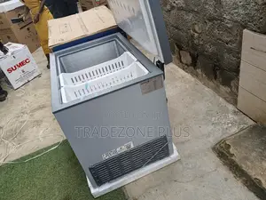 Skyrun BD-260A 260L Freezer – Spacious Interior Powerful Cooling