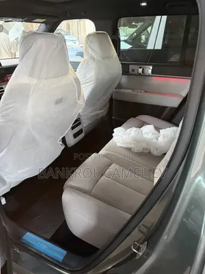 New BYD Leopard 7 2025 Green