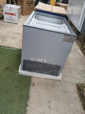 Skyrun 260L Deep Freezer BD-260A – Durable Freezing Solution
