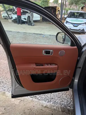 Li Auto L9 1.5 Hybrid AWD 2025 Silver
