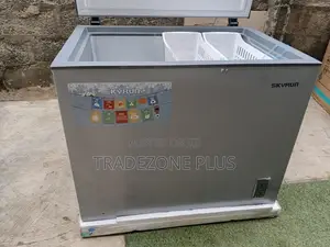 Skyrun BD-260A 260L Freezer – Ideal for Home Business