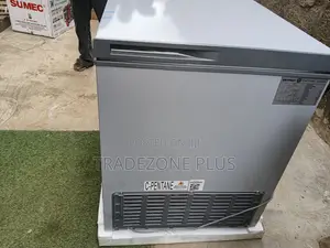 Skyrun BD-260A Chest Freezer 260L – Keep Food Fresh Frozen
