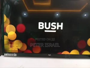 Bush Television