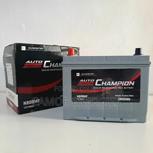 R+ Rear Terminal | Auto Champion 80Ah Battery | 1YR Warranty