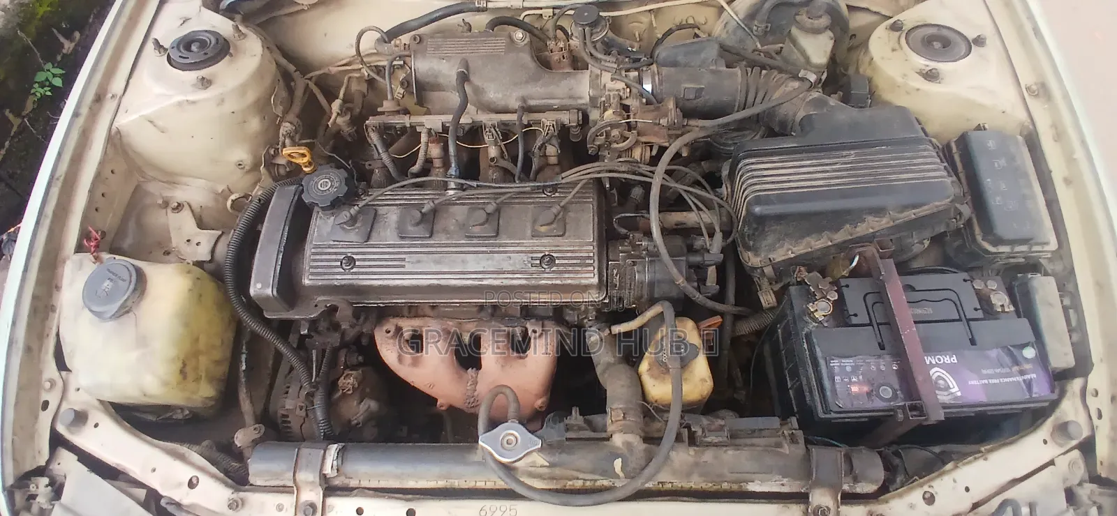 Toyota Corolla 1995 Brown