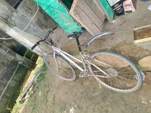 Well Working Bicycle