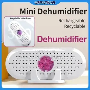 Portable Mini Rechargeable Dehumidifier