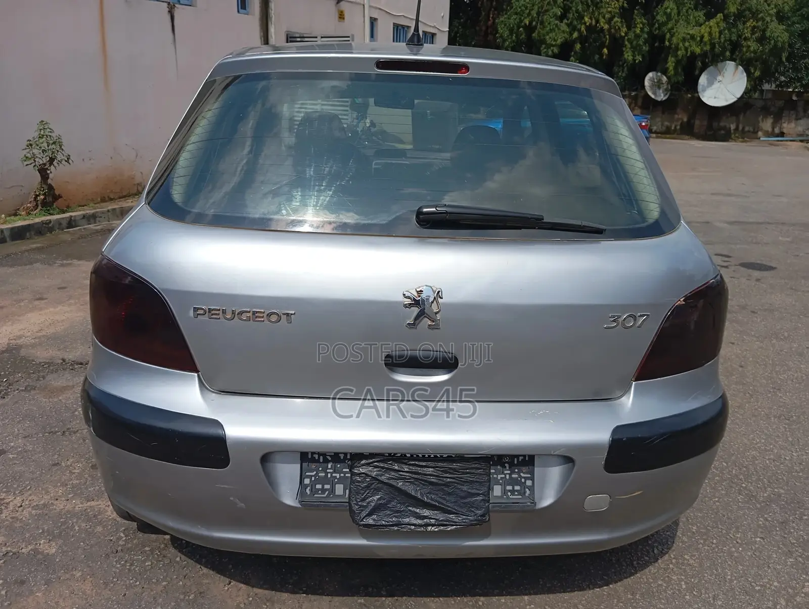 Peugeot 307 2004 Silver