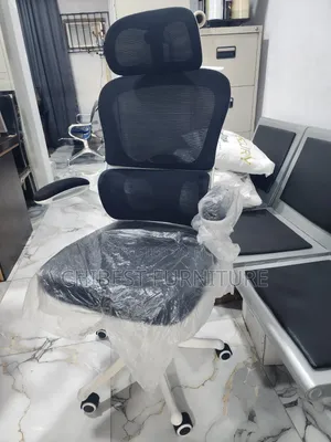 Executive Office Chair Available