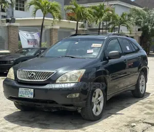 Lexus RX 330 2006 Gray